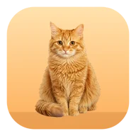 Kitty Is Watching You icon